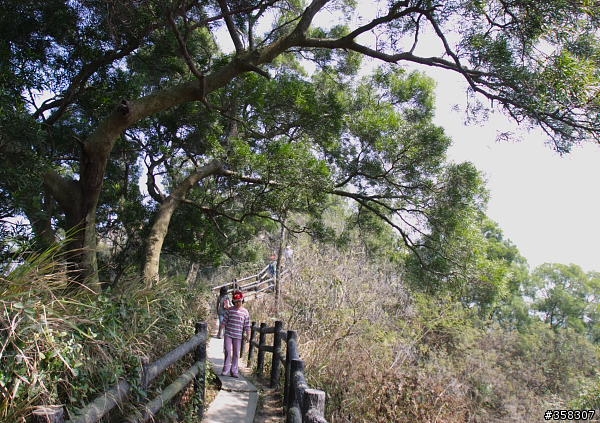 小百岳～觀音山