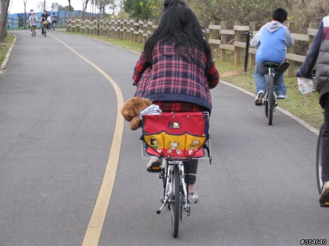 T3.T2自行車(DIY狗狗架)