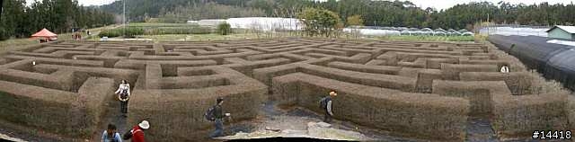 梅峰農場