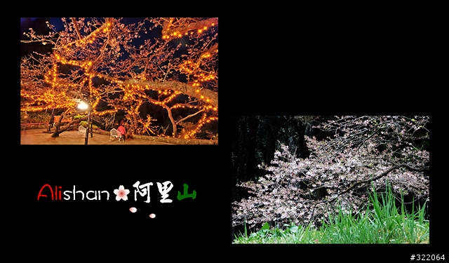 2008 Alishan‧阿里山
