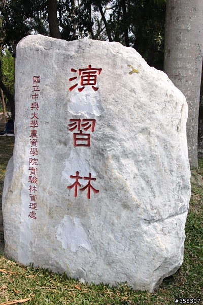 演習林