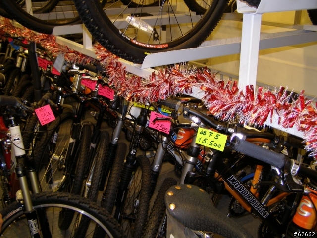 包仔遊香江~逛車店!