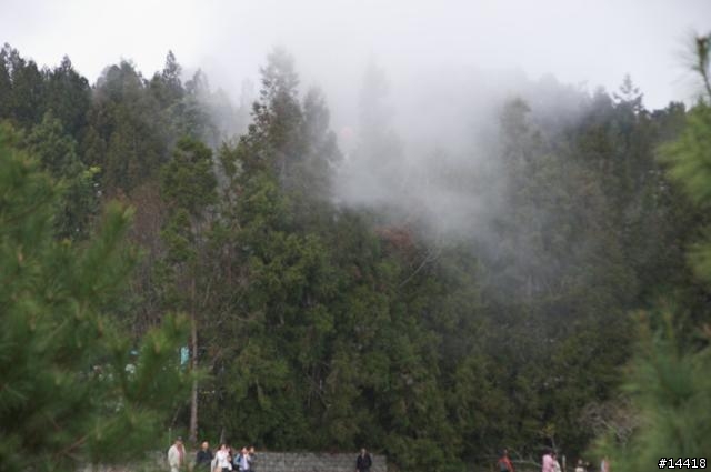 梅峰農場