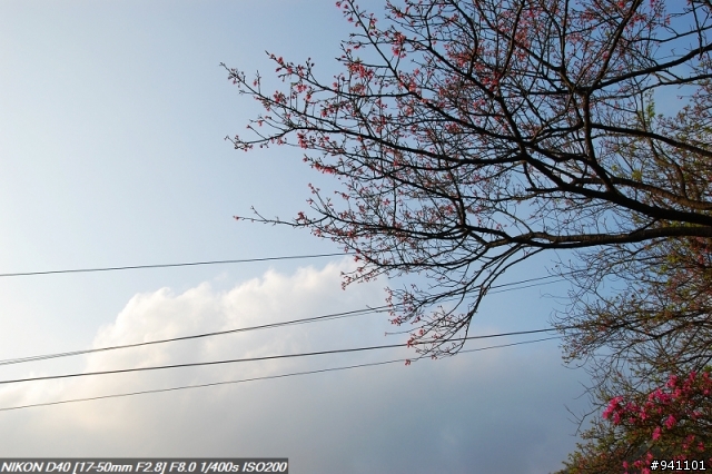 D40 + TAMRON A16N 大光圈變焦初體驗