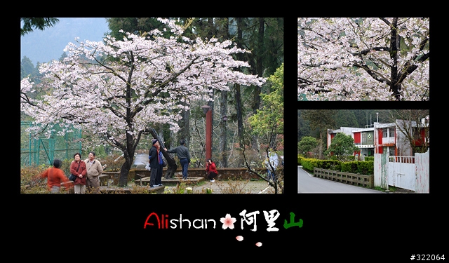 2008 Alishan‧阿里山