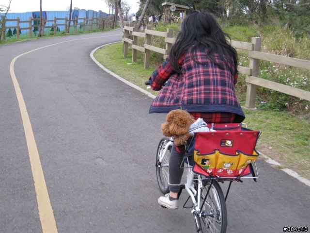 T3.T2自行車(DIY狗狗架)