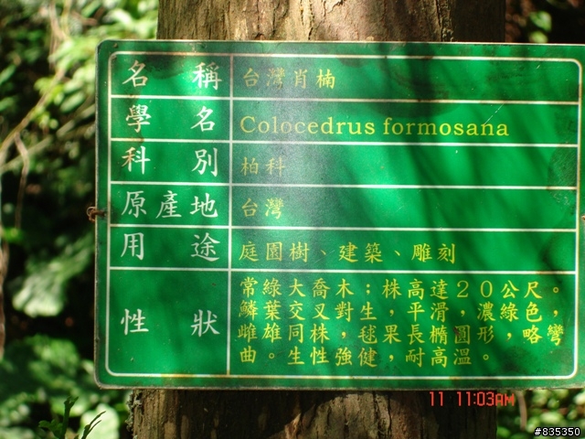 [推薦] 小折環島日記完結篇 ~ 關山 (一定要看喔!)