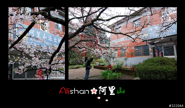 2008 Alishan‧阿里山