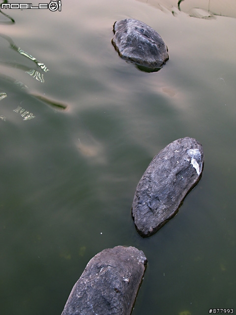 G9第一次試拍新莊運動公園...(加了新圖.看一下啦...)