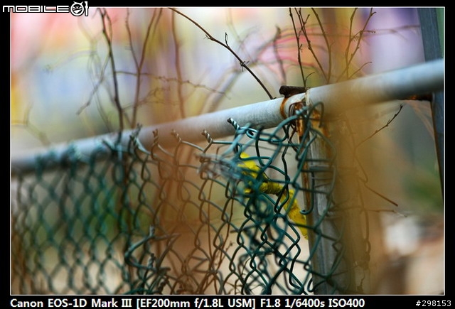 天上掉下來的禮物 vs Canon 200mm f/1.8 L