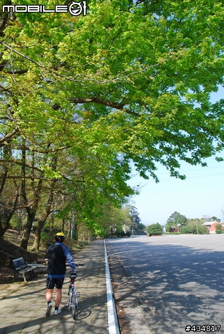 3/3我的羅馬假期~全記錄！