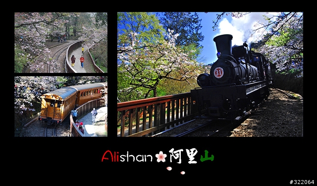 2008 Alishan‧阿里山