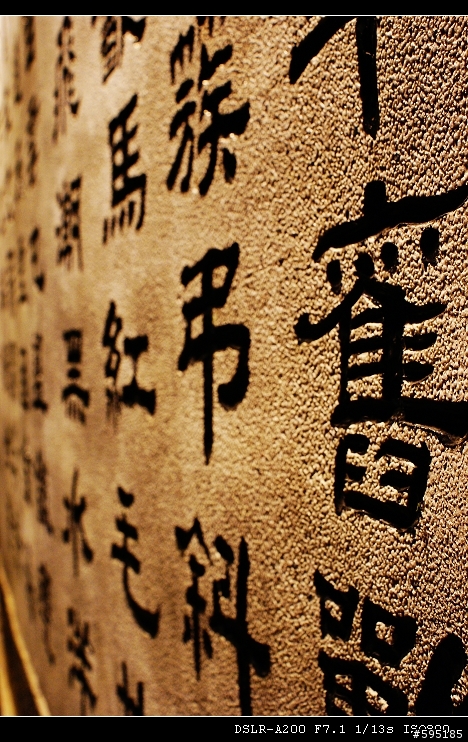攝影傷害~~