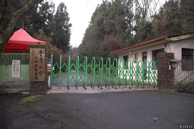 梅峰農場