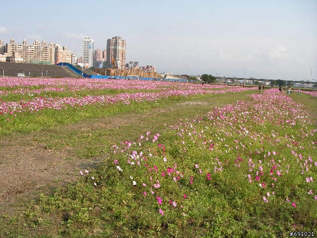 觀音山中直路陡坡白天實景照片