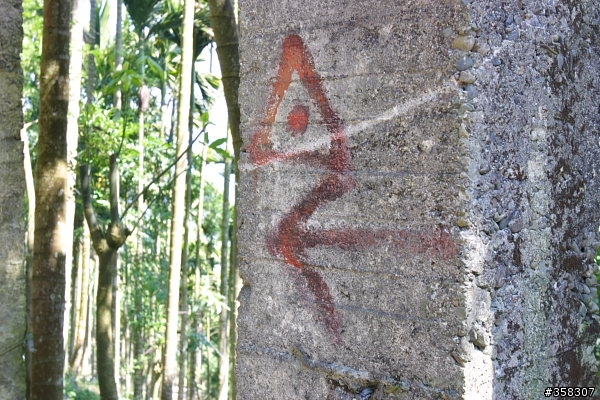 樟湖山