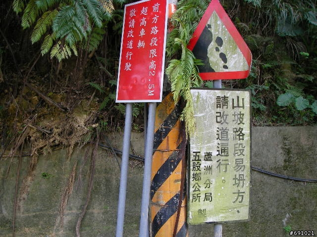 觀音山中直路陡坡白天實景照片
