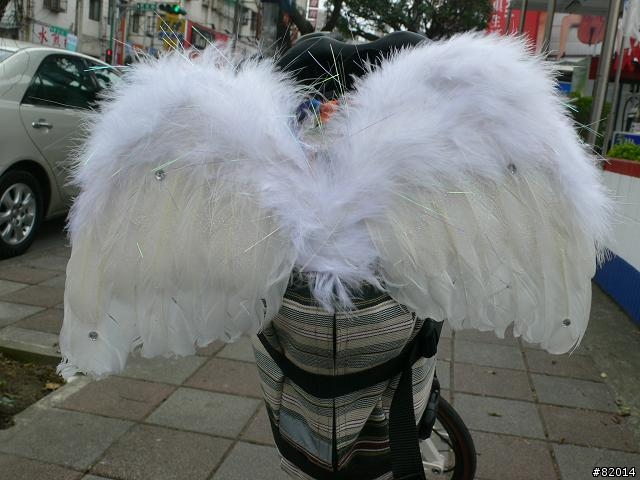 我的可愛小白鳥 Birdy LX