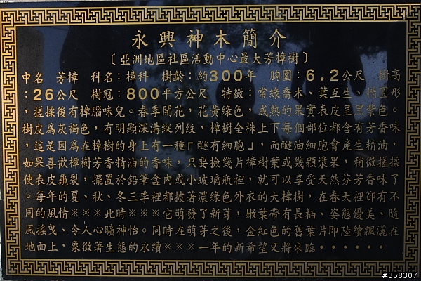 永興神木