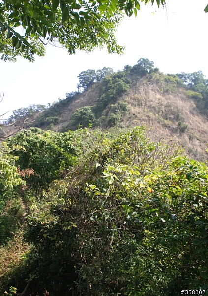 小百岳～觀音山