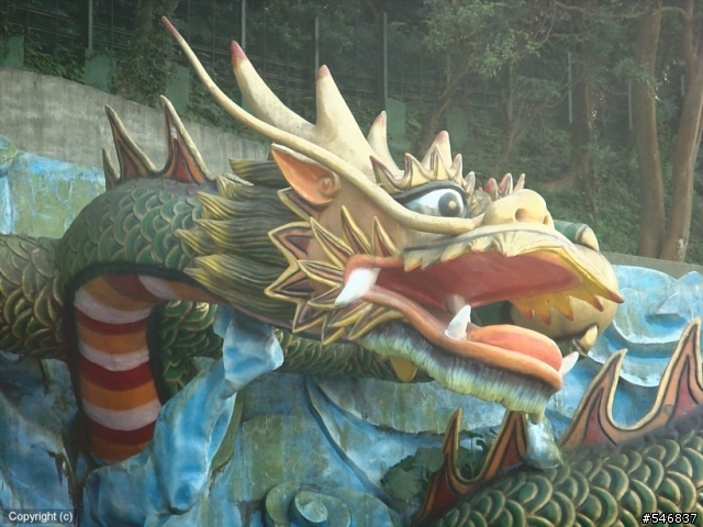 中和烘爐地賞花遊