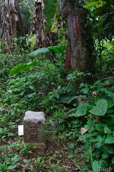 紅毛埤山、山頂子山