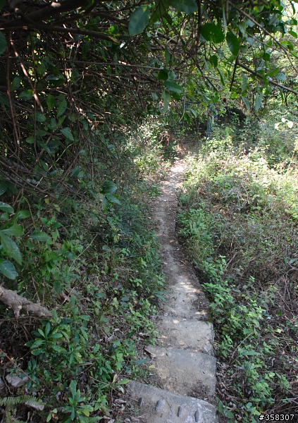 小百岳～觀音山