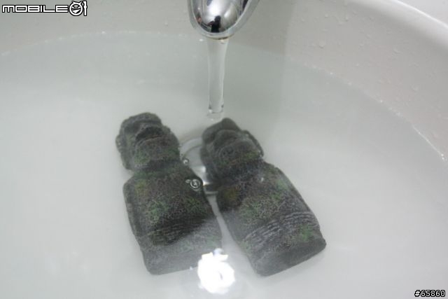 分享我的魚缸裡的新玩意
