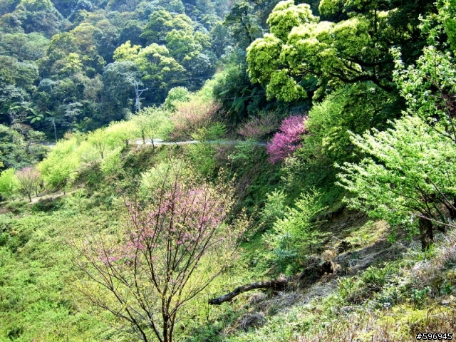 [影像回顧]3/15 三峽 -佛山