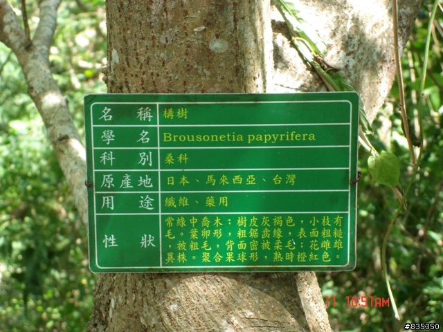 [推薦] 小折環島日記完結篇 ~ 關山 (一定要看喔!)