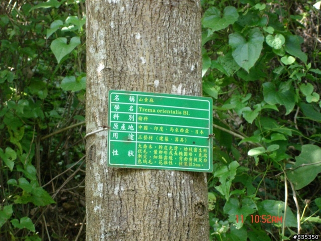 [推薦] 小折環島日記完結篇 ~ 關山 (一定要看喔!)