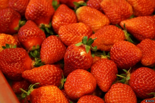 Canon的優質的入門機Kiss X2(450D)入手分享