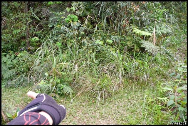 剛完成的菁桐古道~~