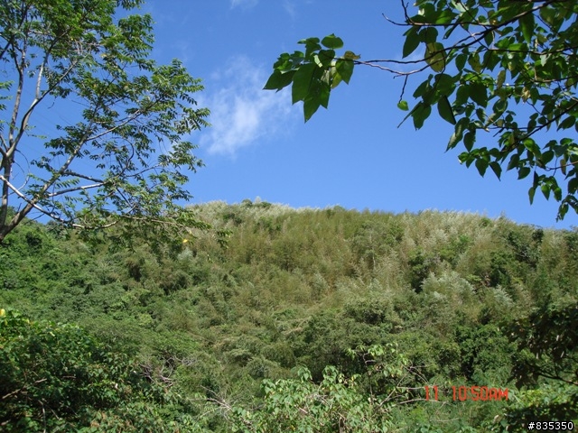 [推薦] 小折環島日記完結篇 ~ 關山 (一定要看喔!)