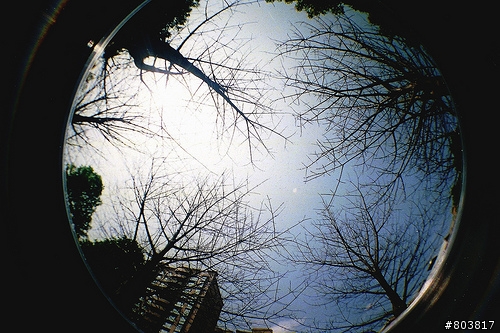 [Fisheye]泰好玩，我的魚眼帶去全世界。間諜機殘念...