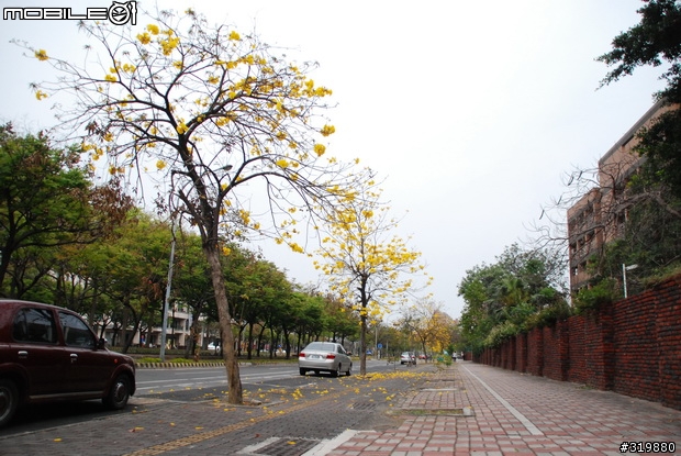 Tamron 17-50mm 2.8 VS Sigma 18-200mm OS