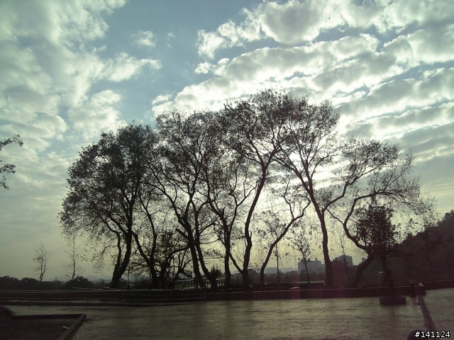 【照片分享】904sh台中地震公園隨拍