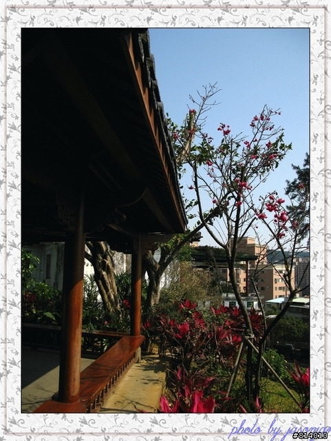 G9解毒照