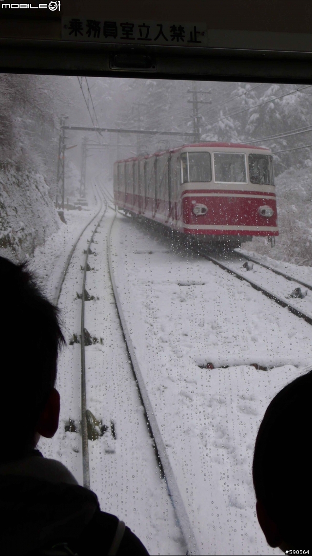 老廟,大樹,雪景,高野山(圖多,新增10張圖,總圖數30張)