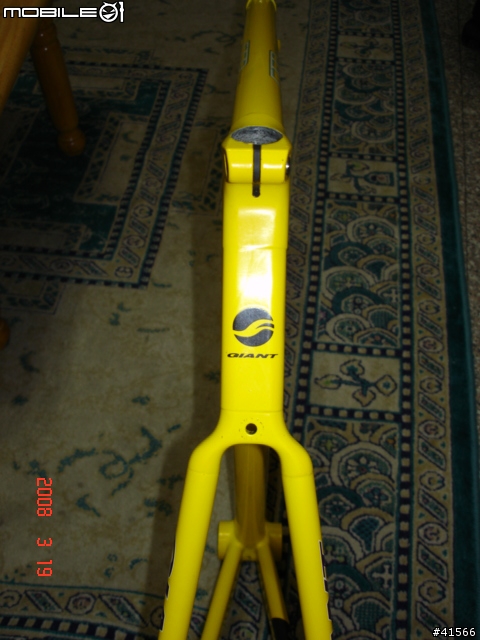 啾啾的公路車
