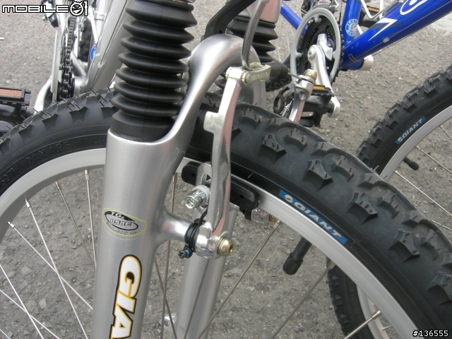 [分享]08年式 Giant YS 488 尷尬期的單車(圖多)