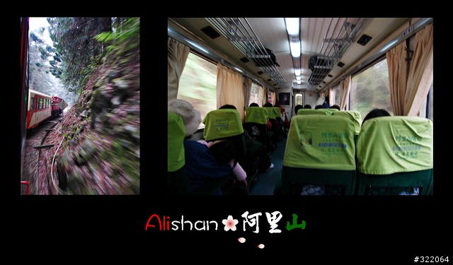 2008 Alishan‧阿里山
