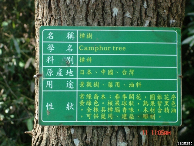 [推薦] 小折環島日記完結篇 ~ 關山 (一定要看喔!)