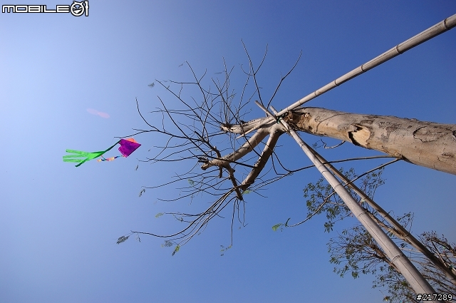 [開箱]我的生日禮物SIGMA 10-20mm F4-5.6 EX DC HSM