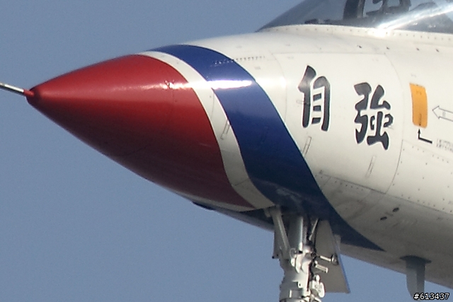 Sigma 100-300mm F4 DG APO打鐵鳥心得分享