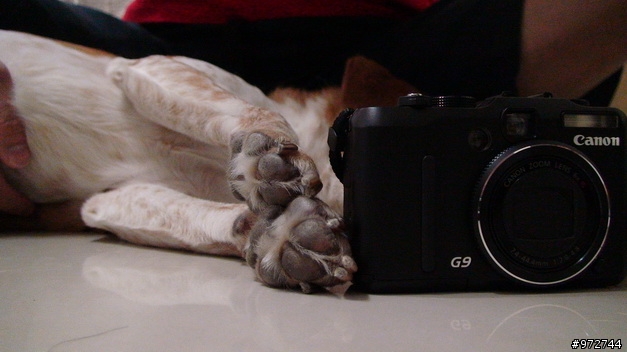 Canon G9與Lowepro Apex 60 Aw相機包