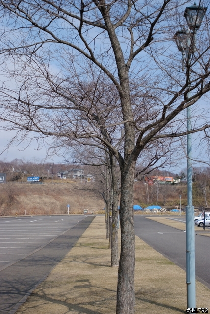 S5PRO @ Hokkaido~~