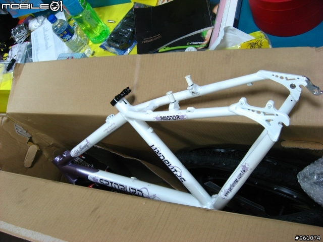 [分享]SCOTT ASPECT 30 與 SPINBURN SOLO DANCING 入手文