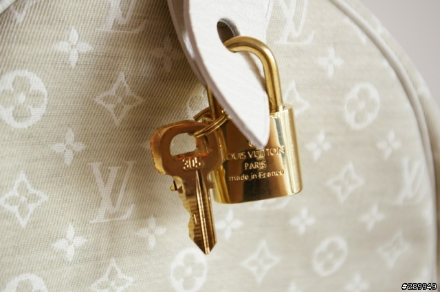 [分享] Louis Vuitton Speed30 棉麻帆布包