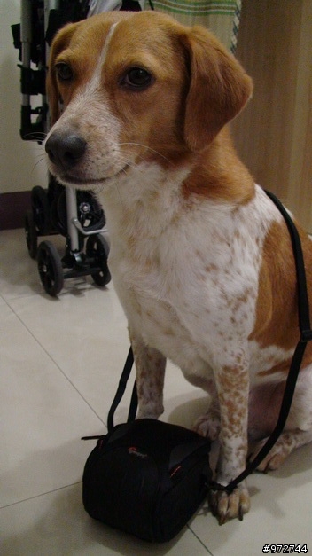 Canon G9與Lowepro Apex 60 Aw相機包